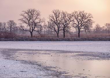 Winter morning, tree,lake