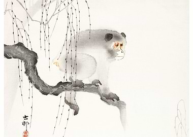 Monkey on a Tree Branch