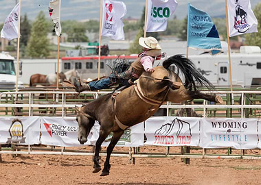 Bucking Bronchos