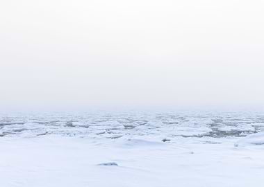 Winter fog