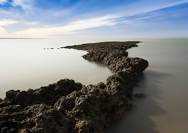 Algae Reef Scenic Taiwan