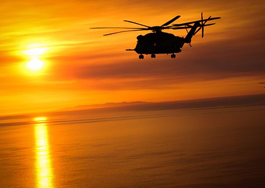 Flight into the sunset