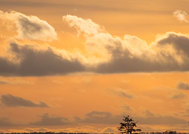 Cloudscape in the winter
