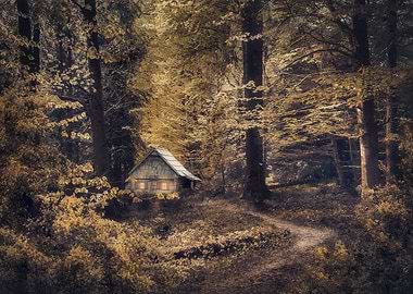 Vom Zauber der Einsamkeit