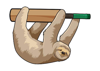 Sloth Cricket Cricket bat