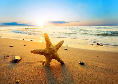 Starfish on the Beach