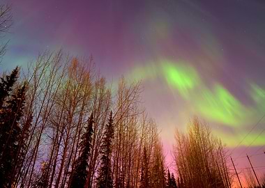 Aurora Northern Lights