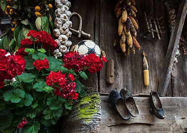 Spanish country yard