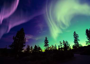 Aurora Northern Lights