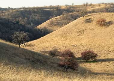 Rolling hills