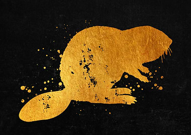 Beaver