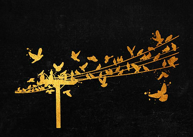 Birds on Wire