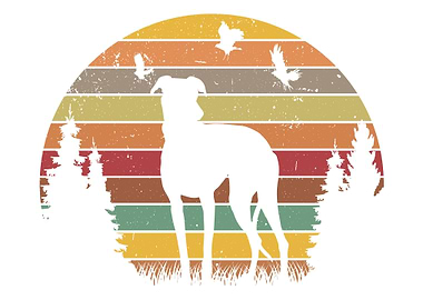 Greyhound Retro British Vi