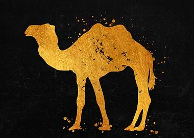 Camel
