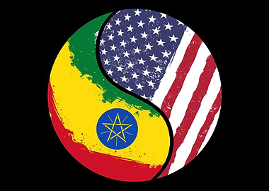 Foreigner Stranger USA