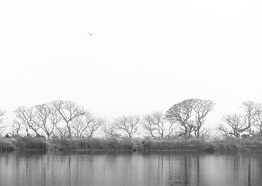 Monochrome landscape photo