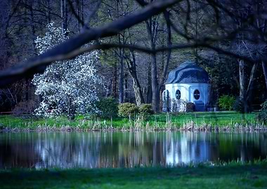 Spring park, trees, flower
