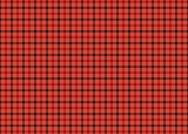 Tartan texture overlay fla