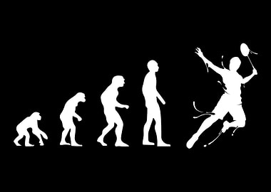 Badminton Evolution Badmin