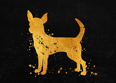 Chihuahua Dog