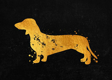 Dachshund Dog