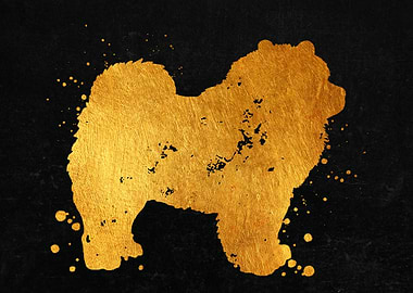 Chow Chow Dog