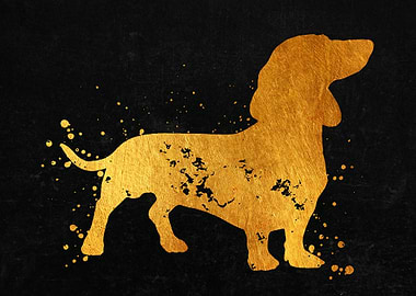 Dachshund Dog