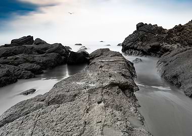 Textured beautiful reefs