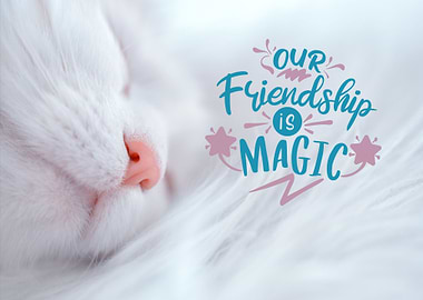 magic friendship cat