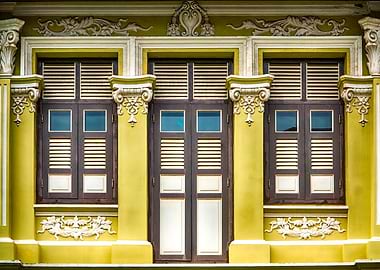 The Singapore Shophouse