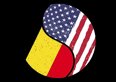 Foreigner Stranger USA