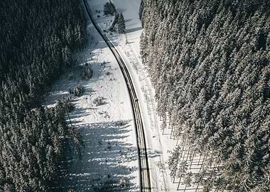 Street in snowy forest