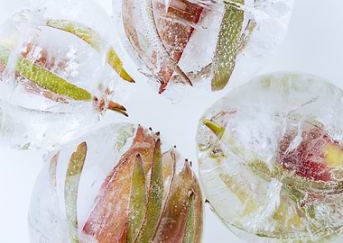 Flowers in ice balls 3