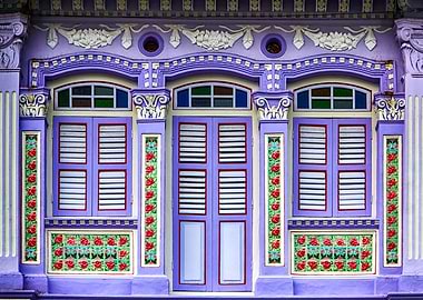 The Singapore Shophouse