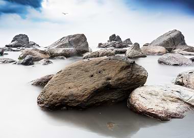 Textured beautiful reefs