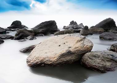 Textured beautiful reefs