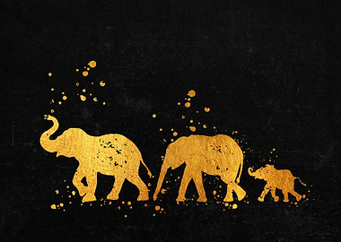 Elephant Family Lesbian