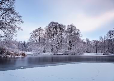 Winter morning in the park