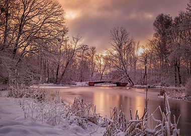 Winter morning, tree,lake