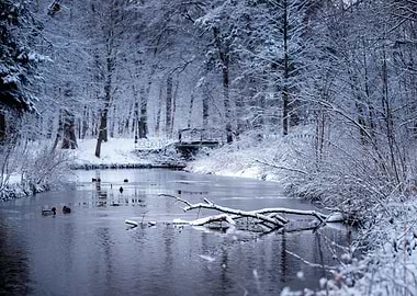 Winter river Black White