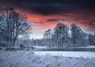 Winter morning in the park