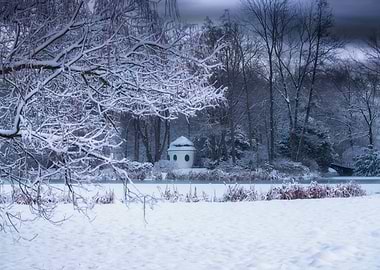Winter morning in the park