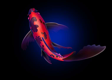 Red Koi Fish