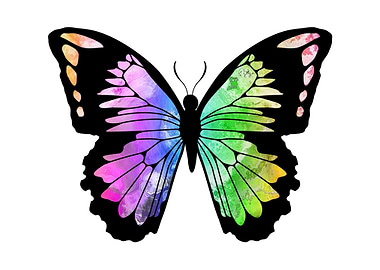 Butterfly Rainbow Colors