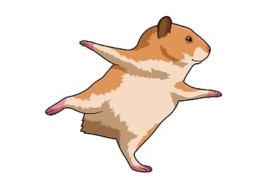 Hamster Yoga Stretching