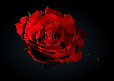 red rose