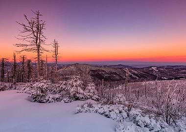 Frozen morning, snowy hill