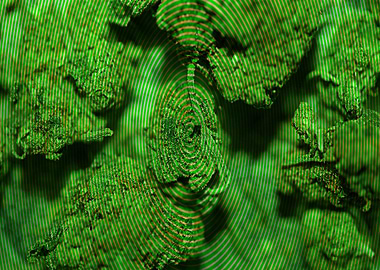 Cannabis illusions design