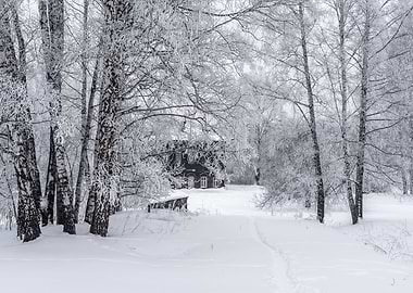 Winter snowy landscape