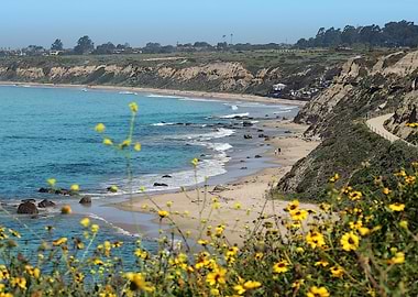 Crystal Cove